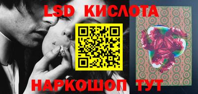 стаф Донской