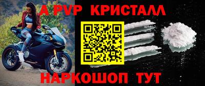стаф Донской
