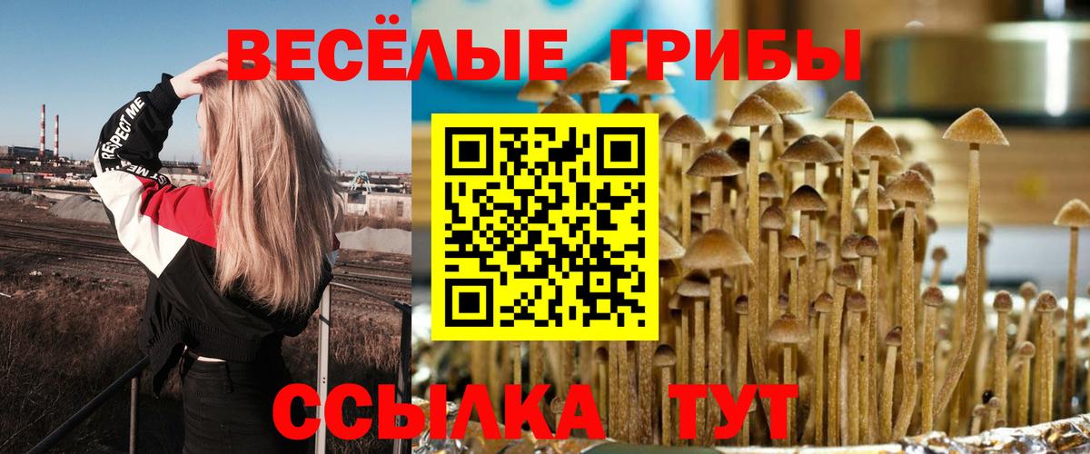 Лангепас  Галлюциногенные грибы Cubensis  Вход с VPN 